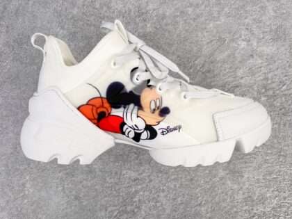 Replica Dior Homme Connect Shoes #DS048