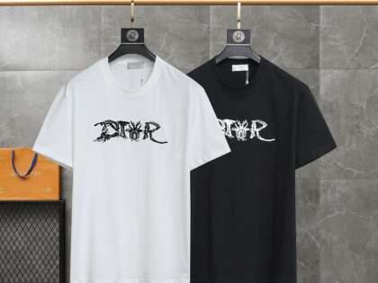 Replica 2023 New Dior T-Shirt for Men and Women #HCTS0059