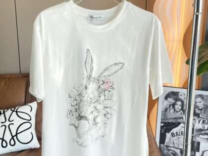 Replica Dior New Crew Neck T-shirts For Women #HTS46