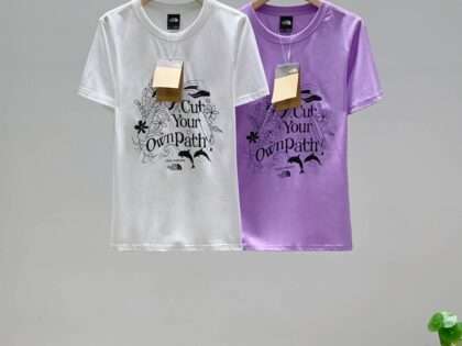 Replica The North Face New T-Shirts Crew Neck For Women#HTS222