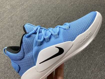 Replica Nike Hyperdunk X low TB Blue