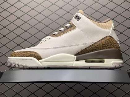 Replica Air Jordan 3 Retro Palomino CT8532-102